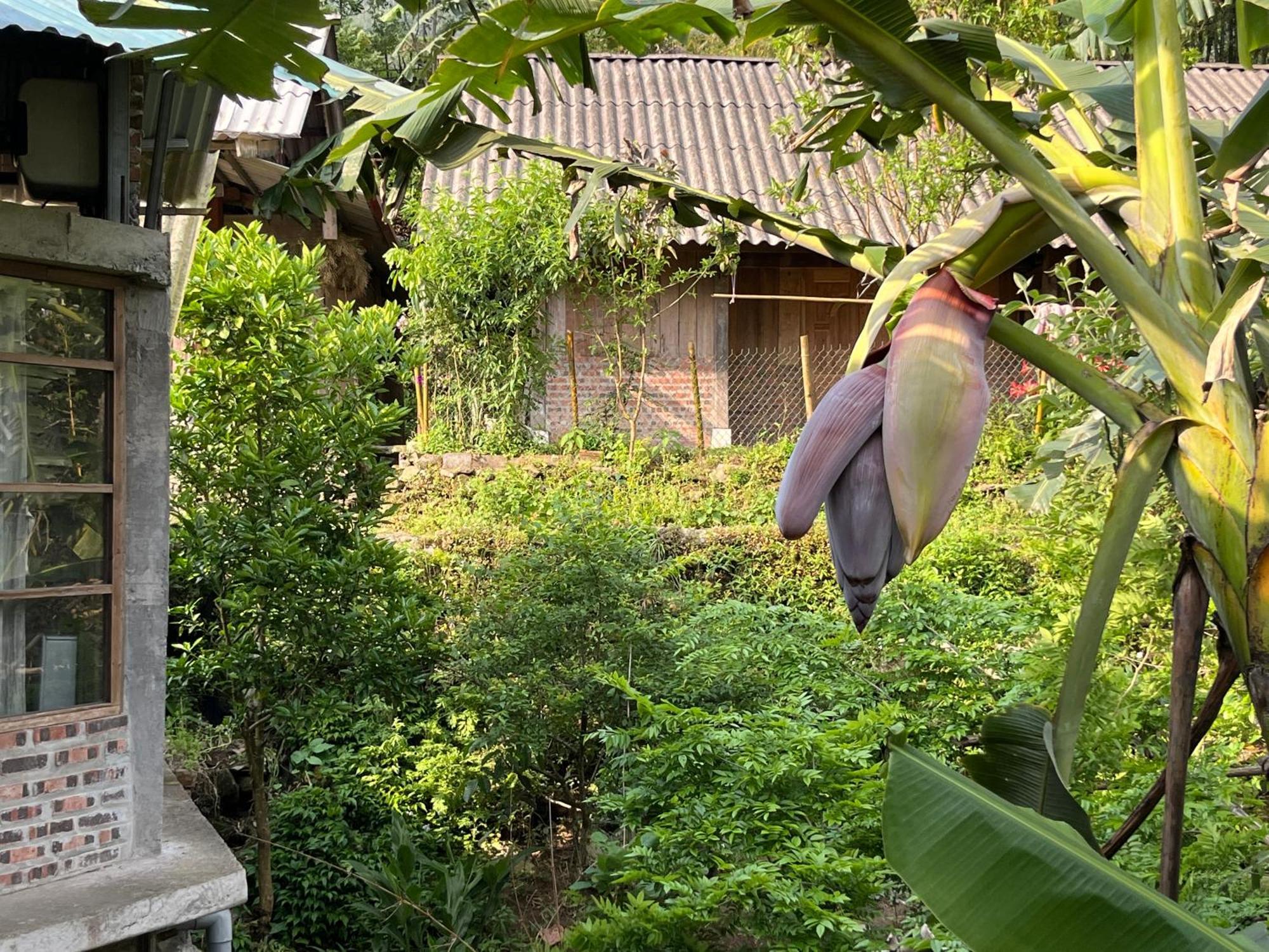 Ya'S House Sapa Exterior foto